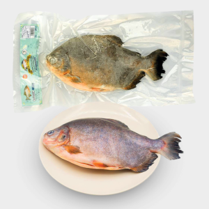 冷凍魚赤マナガツオ