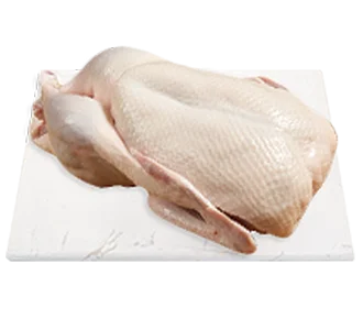 冷凍鶏肉・アヒル卸売